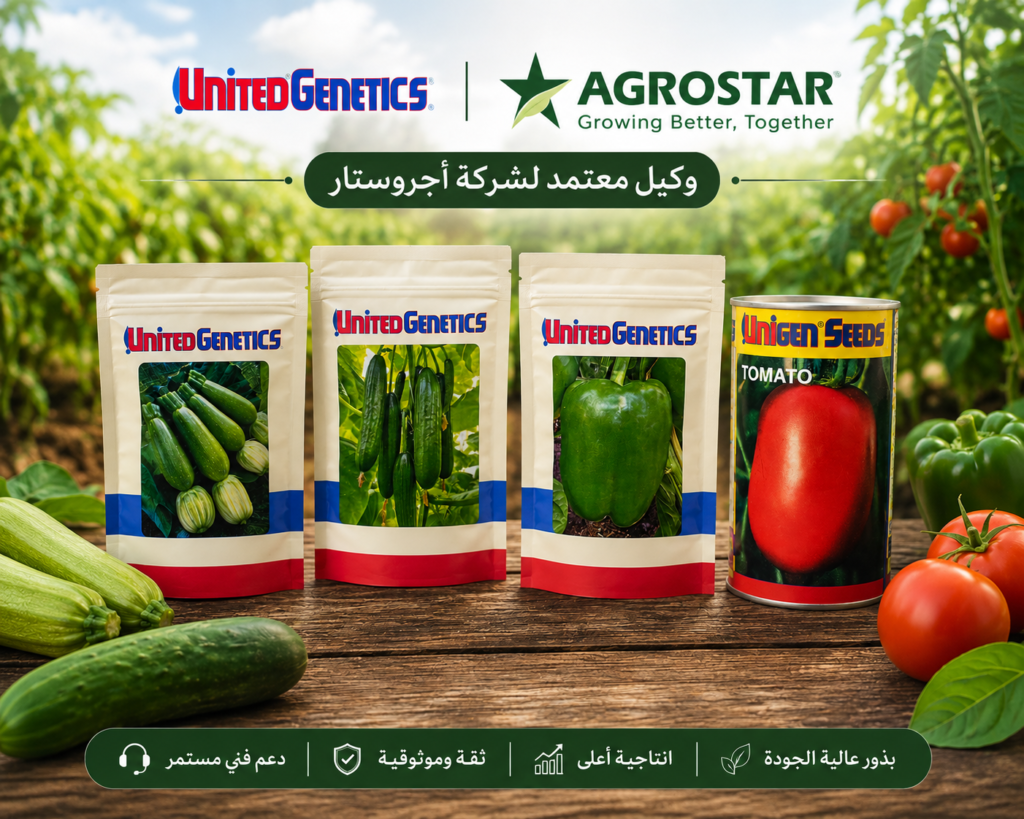 البذور